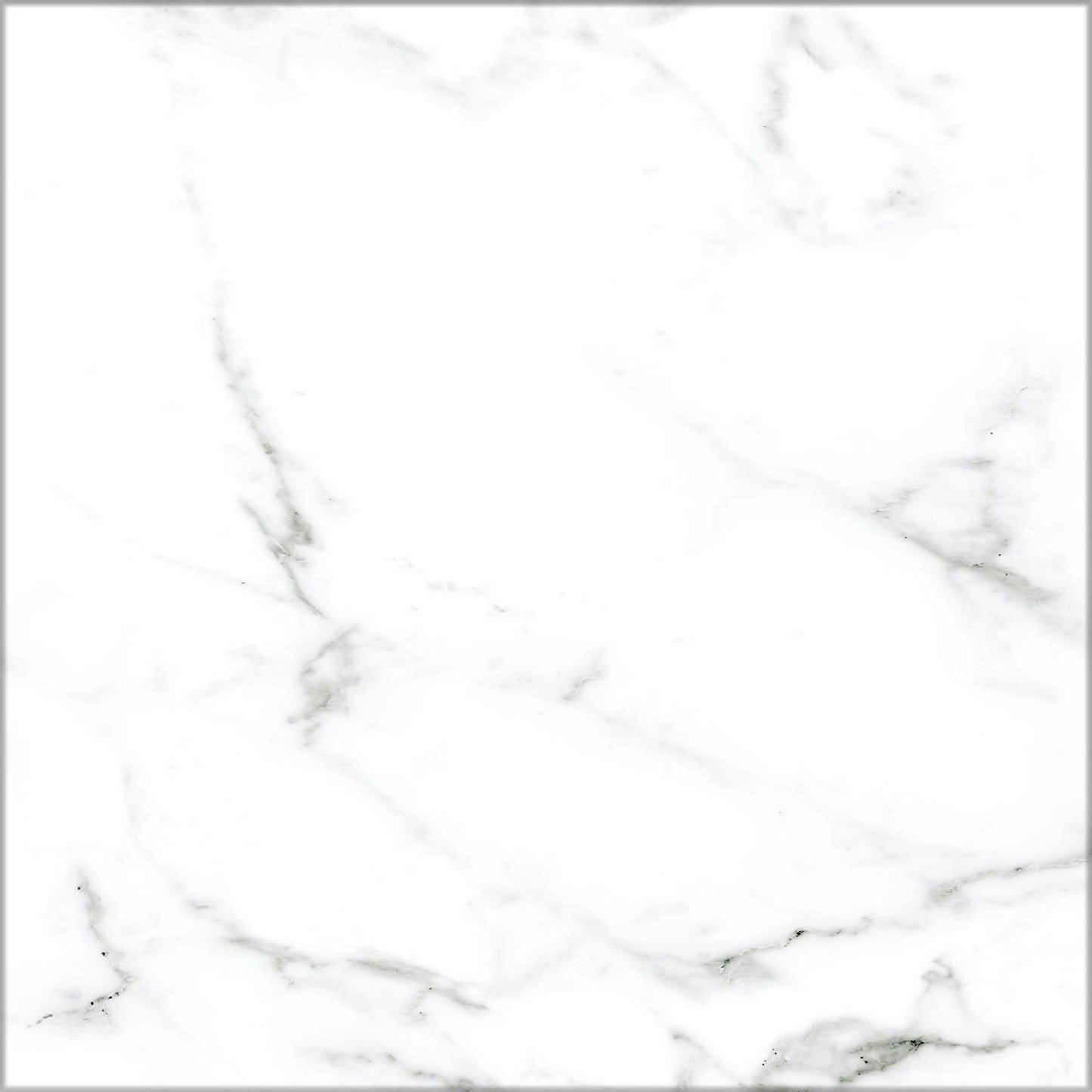 Calacatta Classic Porcelain Tile 25 x 25cm-CODICER-Delforno
