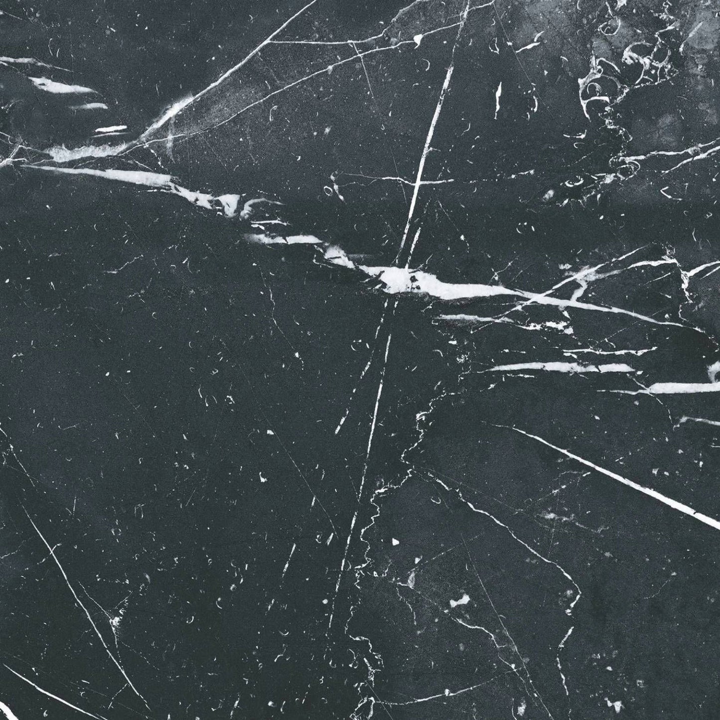 Marquina Classic Porcelain Tile 25 x 25cm-CODICER-Delforno