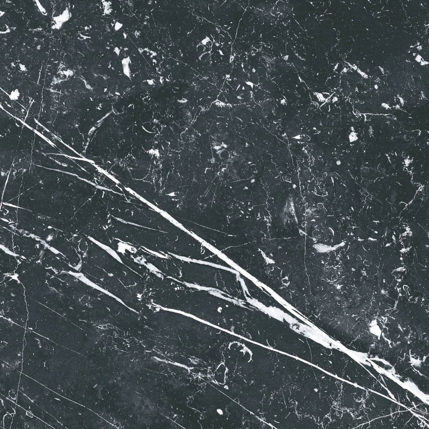 Marquina Classic Porcelain Tile 25 x 25cm-CODICER-Delforno