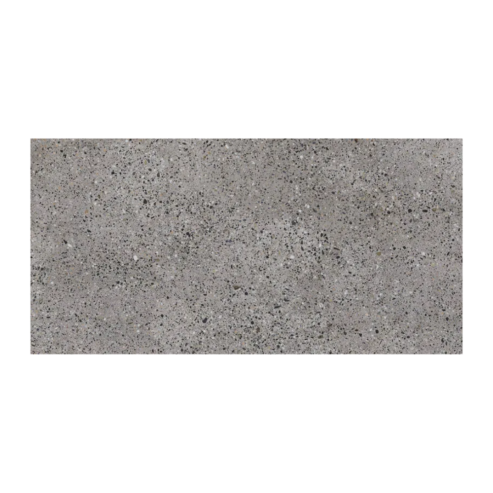 Tinia Natural Porcelain Tile 59 x 120cm-Delforno