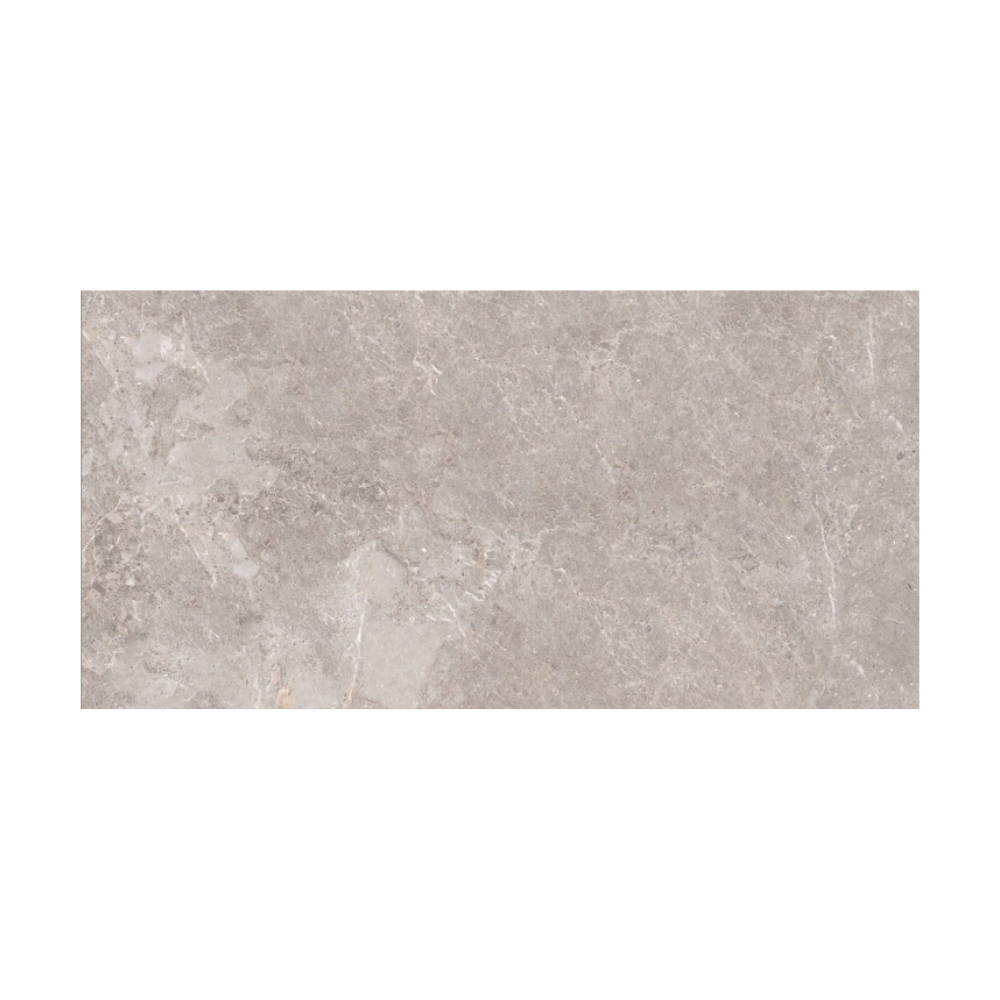 Golden Age Grey 60X120-Edimax Astor-Delforno