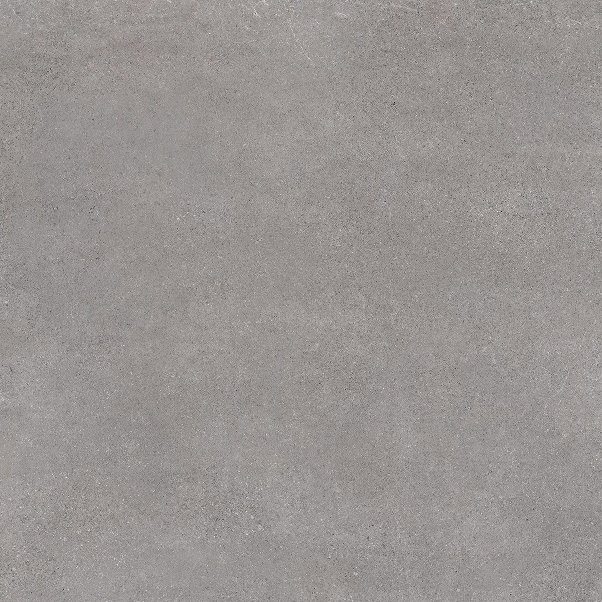 Nassau-R Grafito Concrete Effect Porcelain Tile 120 x 120cm-Delforno