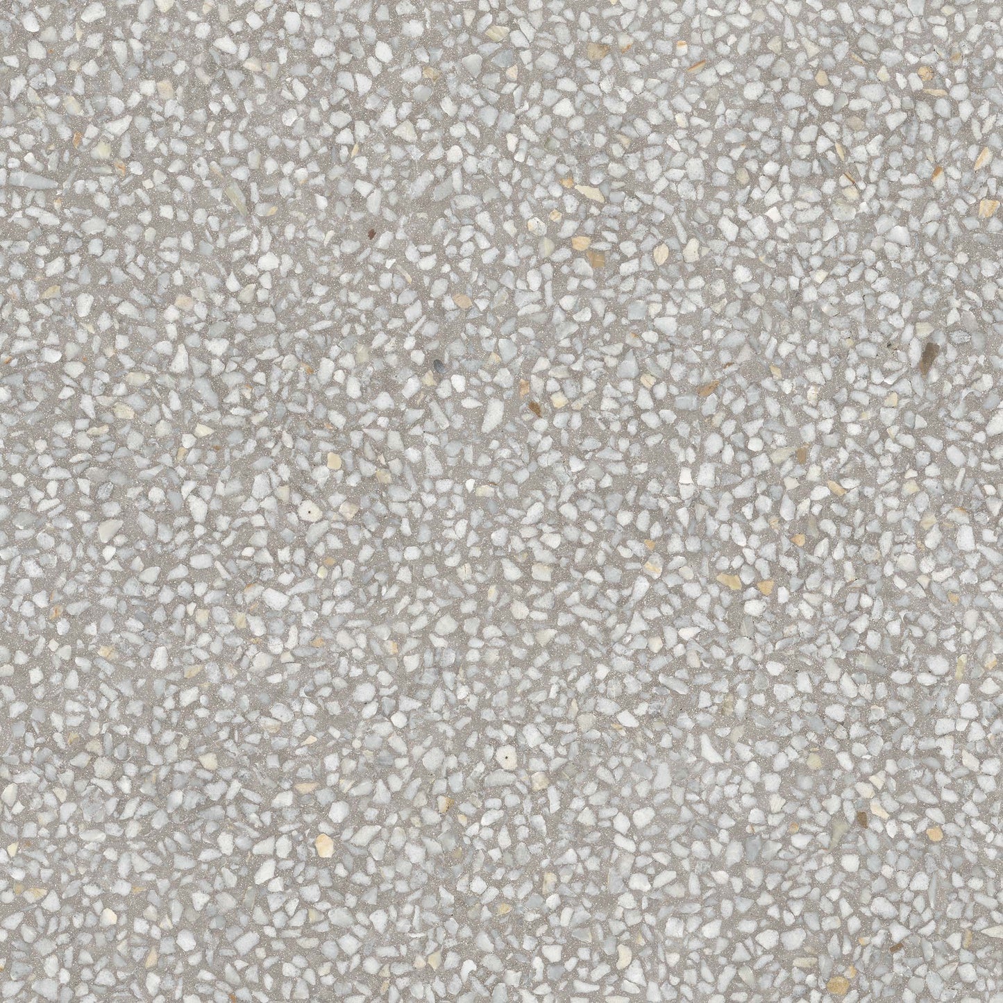 Portofino R Cemento Porcelain Tile 80 x 80cm-Delforno