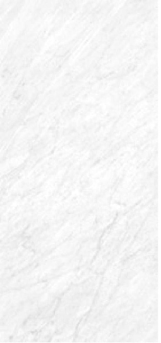 XL Slab Collection Pulidio Grande Marble Porcelain Tile 120 x 260cm-Delforno