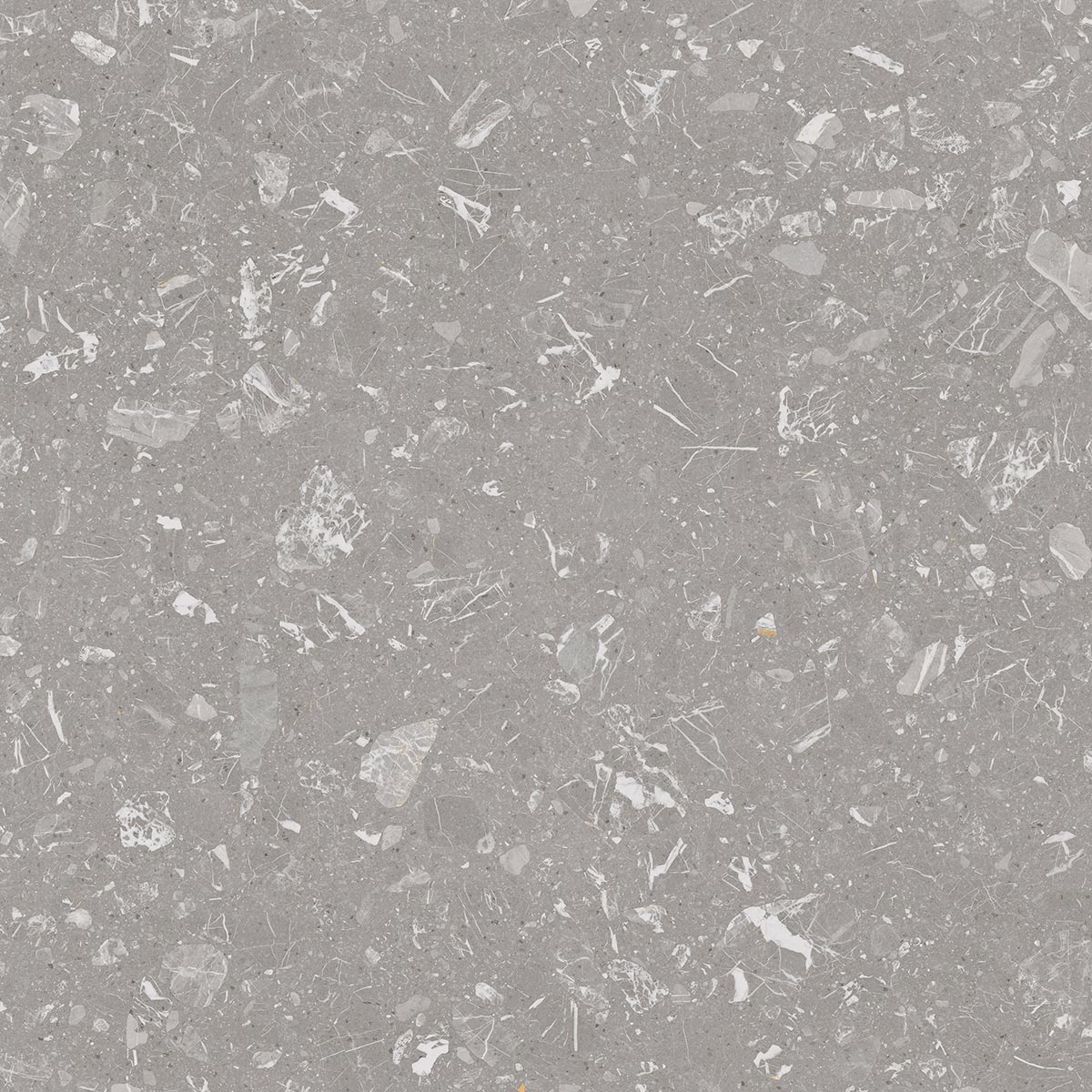 Large Format Loon R Grey 120-Delforno