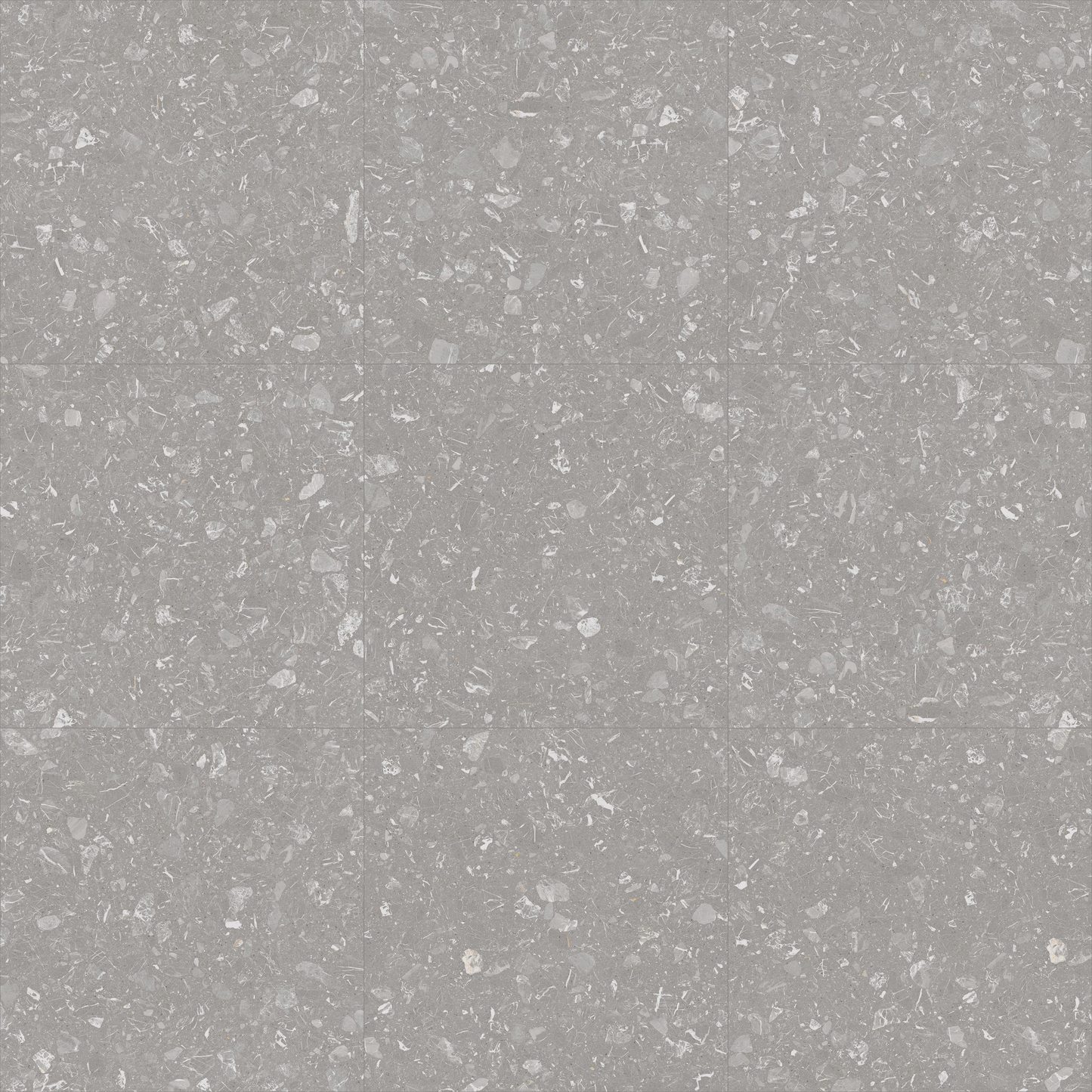 Large Format Loon R Grey 120-Delforno