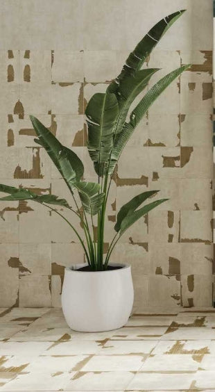 Carton White Natural Porcelain Decorative Tile 59.2 x 59.2cm-Aparici-Delforno