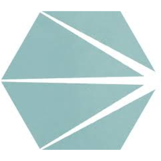 Starline Blue Natural Hex Porcelain Tile 25 x 30cm