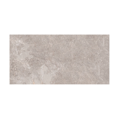 Golden Age Grey 60X120-Edimax Astor-Delforno