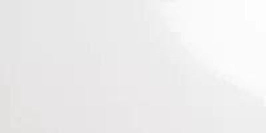 Flat Subway Collection: Gloss White 10x20-Delforno