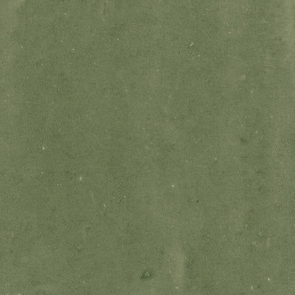 Samira Sage LT Porcelain Tile 10.7 x 10.7cm-Harmony-Delforno