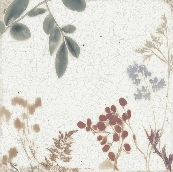 Mayolica Forest Porcelain Tile 15 x 15cm-Delforno