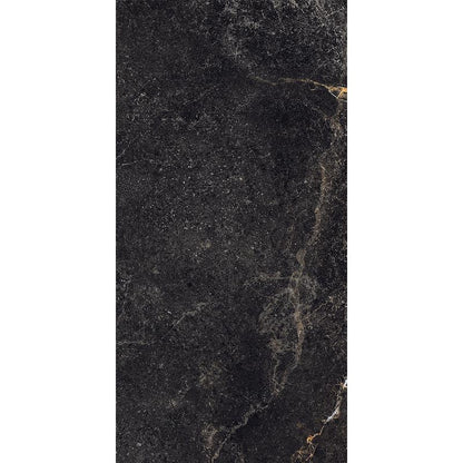 Royal Stone Dark Porcelain Tile 60 x 120 cm-Delforno