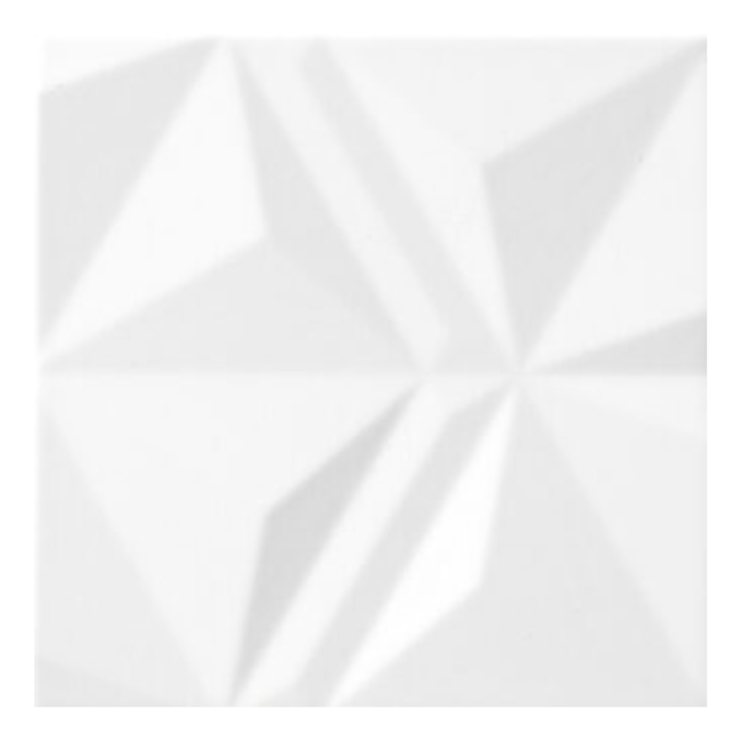 Opal White Ceramic Tile 20 x 20cm