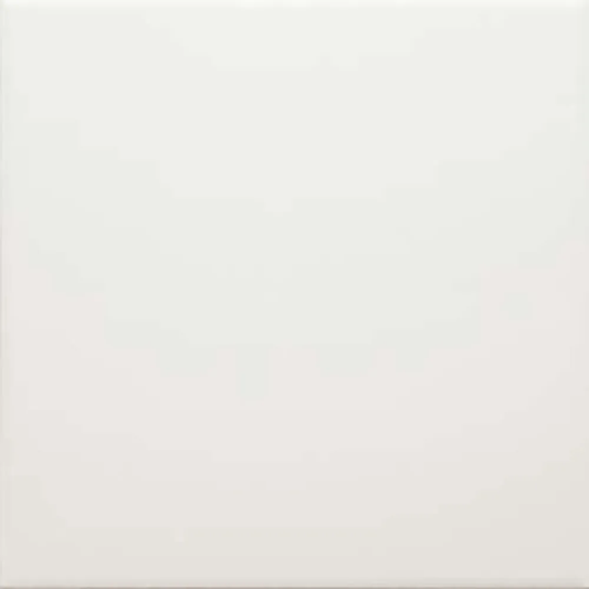 Blanco Matt Porcelain Tile 20 x 20cm