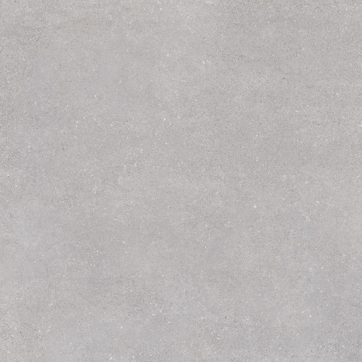 Nassau-R Gris Concrete Effect Porcelain Tile 120 x 120cm-Delforno