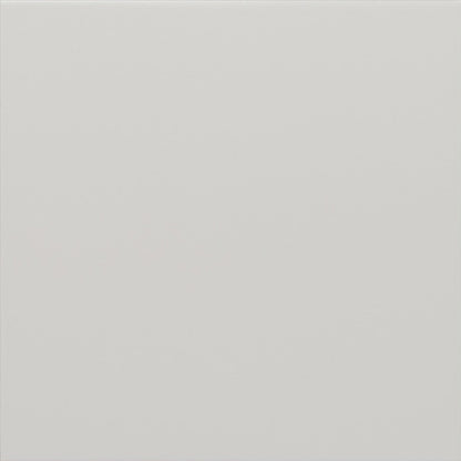 Rivoli White Porcelain Tile 20 x 20cm-EQUIPE-Delforno