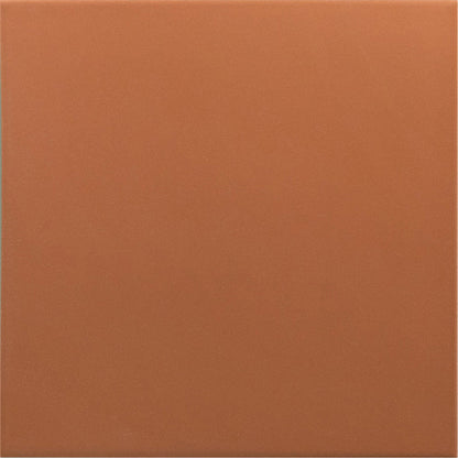 Rivoli Terre Porcelain Tile 20 x 20cm-EQUIPE-Delforno