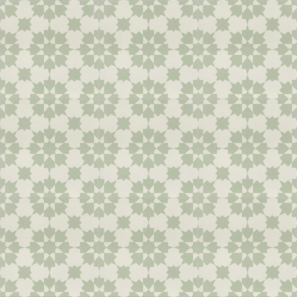 Fired Inf. Ornelas Matt Porcelain Tile 20 x 20cm-Delforno