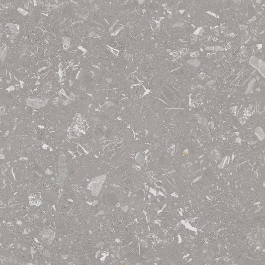 Large Format Loon R Grey 120-Tiles-Delforno