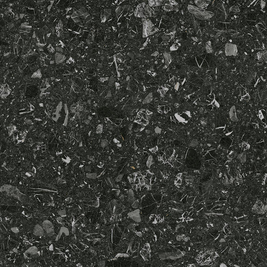 Large Format Loon R Black 120-Tiles-Delforno